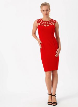 Evening Dresses for Fashion Ladies
